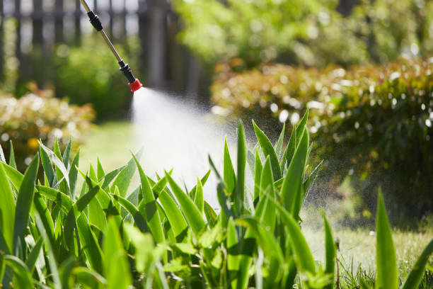 24/7 Emergency Ant Control experts in Morgan, GA